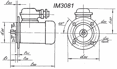   IM3081